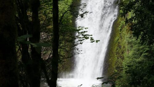 Pride Disposal and Recycling improve their paperless waste management