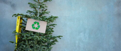 The Holiday Waste Wrap-Up - 2023/24 10 The Holiday Waste Wrap-Up - 2023/24
