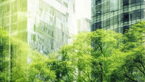 How Routeware City Can Help Waste Management In Your City