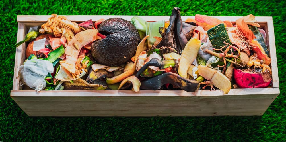 Organic Waste Composting