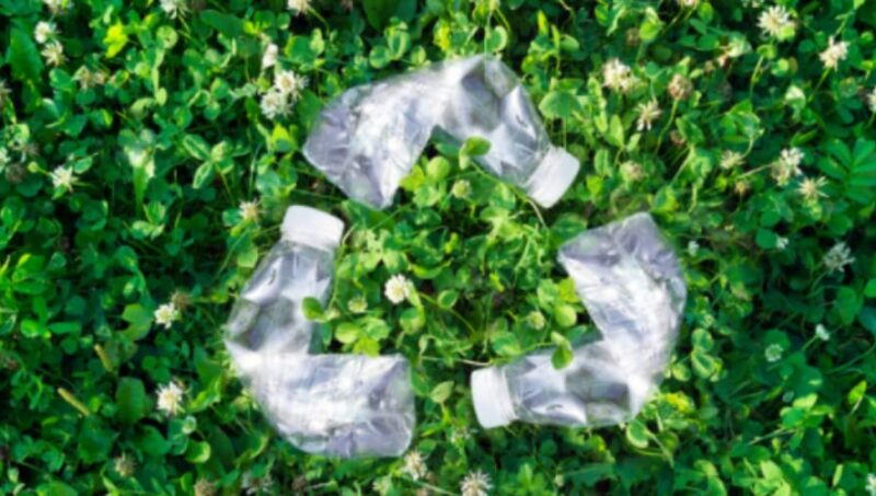 Recollect Recycling Blog