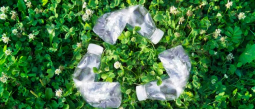 Recollect Recycling Blog