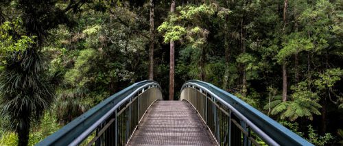 On Writing Environmental Content for Governments 5 approach
