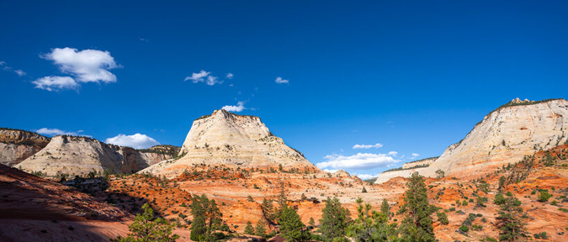 Photo of Springdale, UT