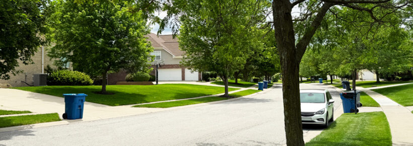 Picture Service photo